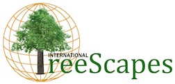 TREESCAPES社 WEBサイト